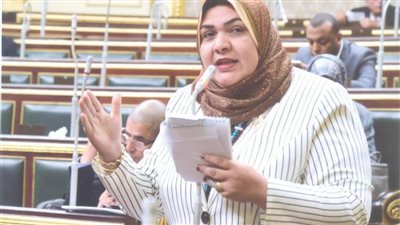 أمل زكريا تطالب الحكومة بالالتزام بالدستور في دعم المجالس القومية المتخصصة