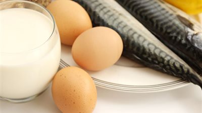 الأسماك والبيض واللبن تساعد على زيادة التركيز