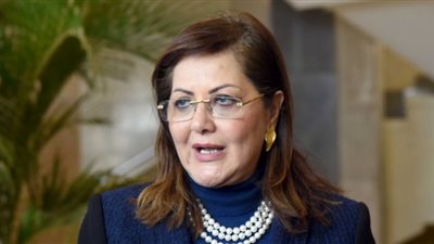 التخطيط: 217 مليار جنيه استثمارات موجهة لقطاع الزراعة