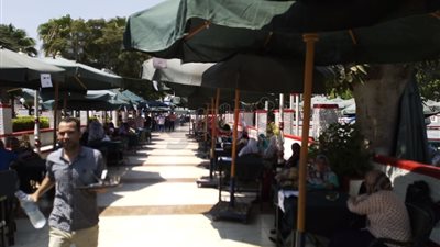 مرتضى منصور: «الجمعية العمومية هتتعمل غصبا عن التخين» (صور)