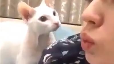 رد فعل صادم لفتاة حاولت تقبيل قط (فيديو)