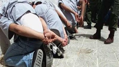 ضبط 10 أشخاص مشتبه فيهم بحملة أمنية بالشيخ زويد