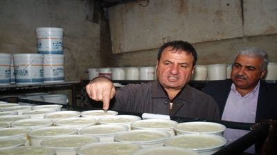 تحرير 26 محضر مخالفات على محال الألبان المخالفين ببورسعيد