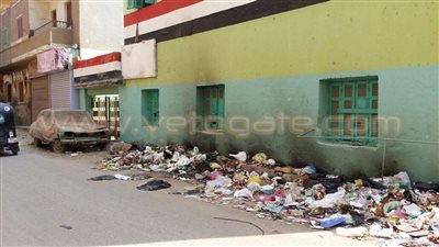 بالصور.. غضب بين الأهالي بسبب محاصرة القمامة للمدارس بالزقازيق