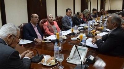 تفاصيل اجتماع لجنة إعداد معايير التغطية الإعلامية للانتخابات الرئاسية