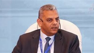 سوق التأمين المصري يستوعب مزيدا من الشركات.. الزهيري: ننسق مع الوسطاء لتحسين بيئة الاستثمار.. قطب: الاستحواذ على كيانات محلية دليل على السوق الجاذب.. والاتحاد: الملاءة المالية تحسم القرار