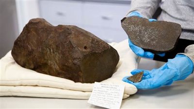 إيطالي يكتشف نيزك العام الجديد أثناء تنزهه مع كلبه  