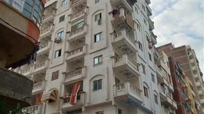 وقف أعمال بناء عقارين مخالفين بالإسكندرية