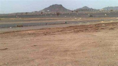 «الإصلاح الزراعي» تمنح المتقاعسين عن سداد قيمة أراضي النفع العام مهلة شهر