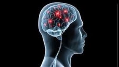 كبح نشاط «هرمون الحب» يقلل من القلق الاجتماعي