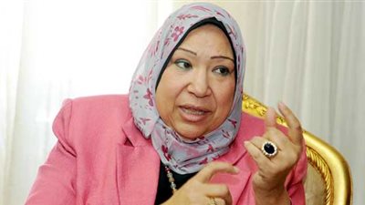 فوزية حنفي: «الخدمة المدنية» لن يضر بمستحقات العاملين بالجهاز الإداري