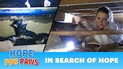 «يوتيوب» تسهل على المؤسسات الخيرية جمع الأموال من المتبرعين