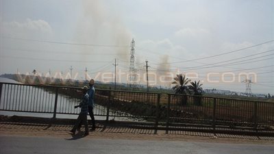 بالفيديو والصور.. عودة ظاهرة حرق «قش الأرز» بدمياط