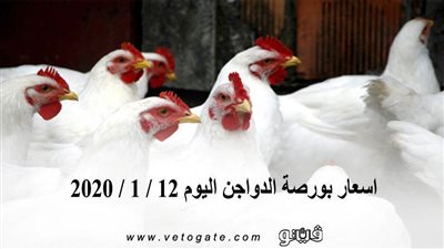 اسعار بورصة الدواجن اليوم 12 / 1 / 2020