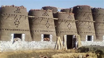 انقراض مهنة صائد الحمام من الفيوم بعد اختفاء الابراج