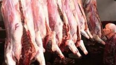 استقرار أسعار اللحوم والأسماك بسوق الجملة