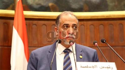 تضامن النواب: الزيادة السكانية تخفض نصيب الفرد من الدخل