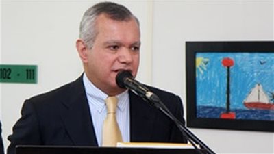 العرابي: المصريون سيشاركون في الاستفتاء لتتويج ثورتي 25 يناير و30 يونيو