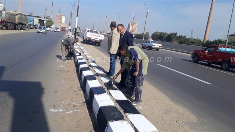 محافظ الدقهلية