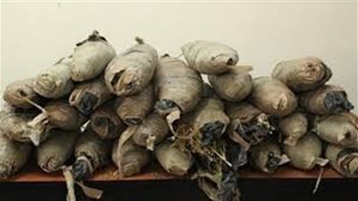 ضبط سائق بحوزته 31 لفافة بانجو بالمعادى