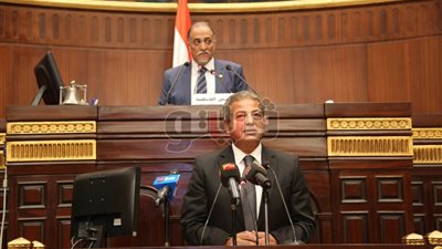 وزير الشباب يشهد جلسة «الحوار المجتمعي» لحل المشكلة السكانية بـ«النواب»