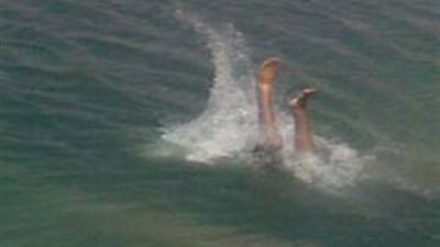 مصرع سائق غرقا في ترعة «الإسماعيلية» بشبرا الخيمة