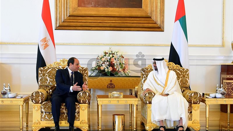 لقاء الرئيس عبدالفتاح