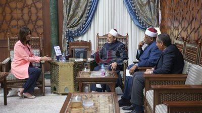 الإمام الأكبر: حريصون على تقديم الدعم للمصريين في الخارج