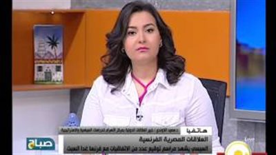 بالفيديو .. خبير علاقات دولية: العلاقات المصرية الفرنسية تشهد طفرة مؤخرًا