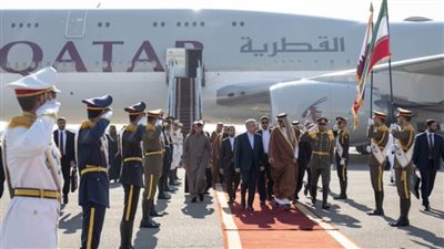 في أول زيارة رسمية لطهران.. وزير بترول يستقبل حاكم قطر | فيديو