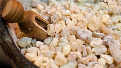 فوائد اللبان الدكر لجمالك وشبابك الدائم