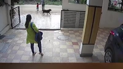 لحظة هجوم كلب شرس على طفل صغير (فيديو)