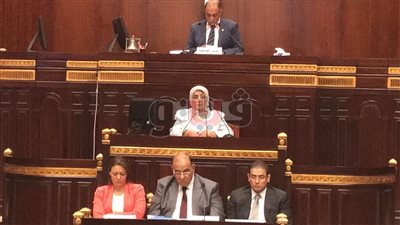مايسة شوقي تعرض دور الجمعيات في قضايا السكان أمام «تضامن البرلمان»
