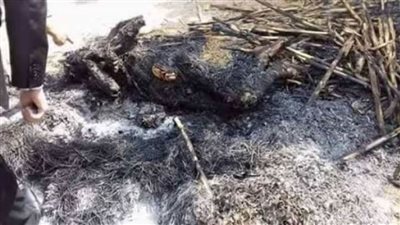 الاستماع أقوال المبلغين في العثور على جثة فتاة متفحمة بالبدرشين