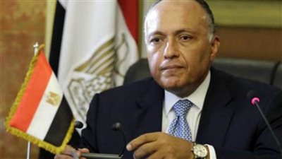 مصر ترحب بوقف إطلاق النار في ليبيا وتطالب بضرروة استمرار مكافحة الإرهاب