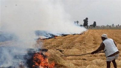 البيئة تخمد 59 حريق قش أرز بالبحيرة والشرقية