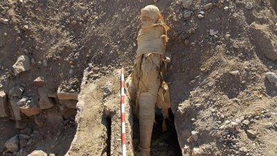 آثار أسوان تتحفظ على قطع أثرية تم إحباط تهريبها