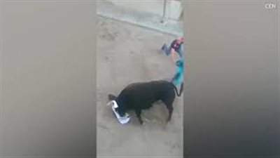 بالفيديو والصور.. ثور غاضب يقتل رجلا بمهرجان إسباني