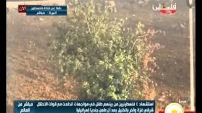 بالفيديو.. اشتباكات الفلسطينيين مع قوات الاحتلال بـ«البيرة»