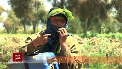 «أم عوض».. 30 عاما من البحث عن «الأسماك» في ترع كفر الشيخ (فيديو)