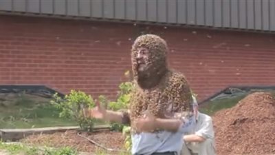 رجل يلقي محاضرة ورأسه مغطى بآلاف النحلات (فيديو)