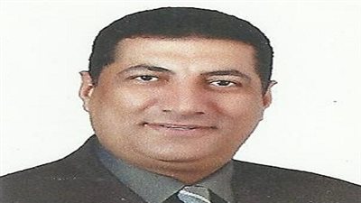 نبيل الجوهري: الدستور الجديد الأنسب لمصر