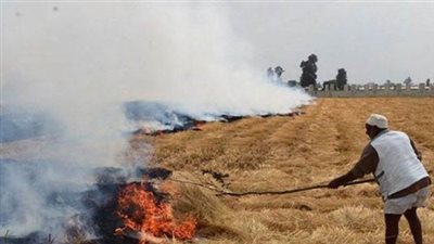 ضبط 30 مخالفة لحرق قش الأرز بالبحيرة