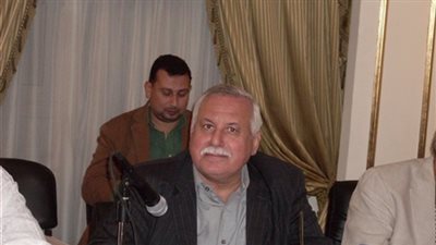 عزيز الدين: التصالح مع الممولين يحتاج لضوابط