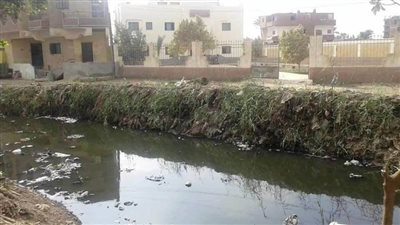 جرائم عائلية تهز الشرقية.. أب يتخلص من نجله في 