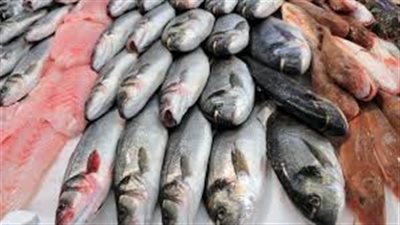 «البلطي» يسجل 13 جنيها للكيلو جرام بسوق الجملة