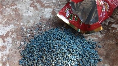 وفاة شاب داخل أتوبيس بغارب بسبب تناوله حبة حفظ الغلال السامة