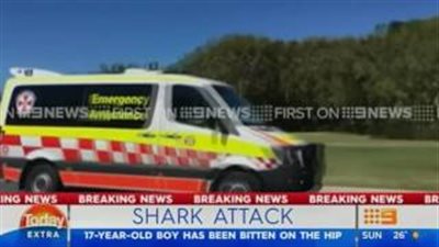 بالفيديو والصور.. شاب يتعرض لهجوم من قرش أبيض ضخم بأستراليا