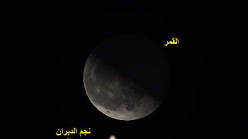 فيتو