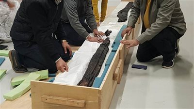الآثار: نقل 942 قطعة خشبية لمركب خوفو للمتحف المصري الكبير